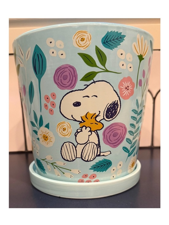Peanuts Accessories - Peanuts nwt Light Blue Snoopy & Woodstock Floral Planter